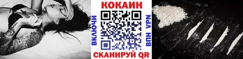 где можно купить   Щёкино  Кокаин FishScale 