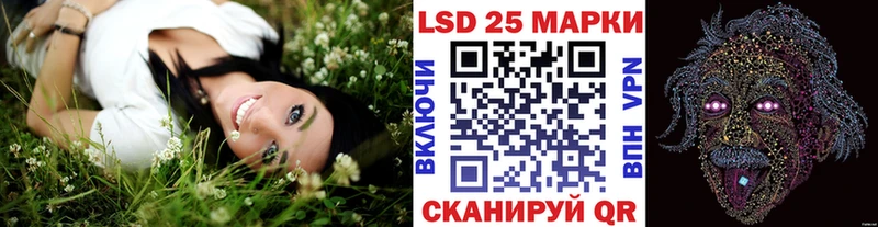 blacksprut рабочий сайт  закладки  Щёкино  Наркотические марки 1500мкг 